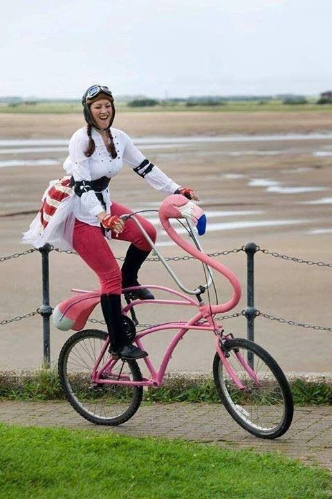 flamingo bike